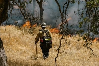 Firefighter putting out a brush fire