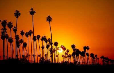 What Happens to Your Life Insurance Policy if You Move Out of California?