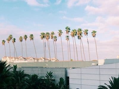 How Does Wildfire Risk Affect Home Insurance in California?