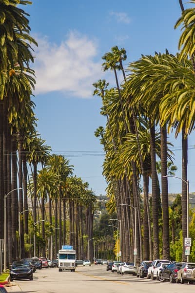 /california-auto-insurance-requirements/